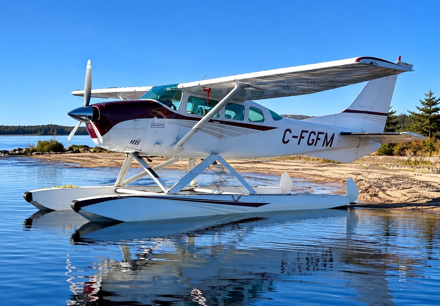 1974 Cessna U206F for sale in QC, Canada